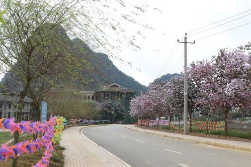 扶绥网红美亭,探寻广西扶绥的璀璨明珠