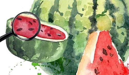 吃瓜关注的博主,揭秘网红博主吃瓜背后的故事与真相