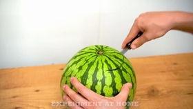 西瓜视频吃哈密瓜,西瓜视频带你领略哈密瓜的甜蜜诱惑