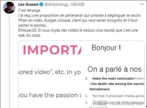 网红黄黑资源爆料视频,视频内容深度解析