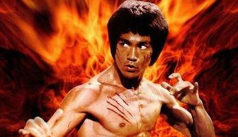 动作电影明星甄子丹图片,甄子丹动作电影经典瞬间