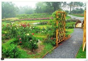 90平小型网红植物园,打造都市绿洲的创意指南