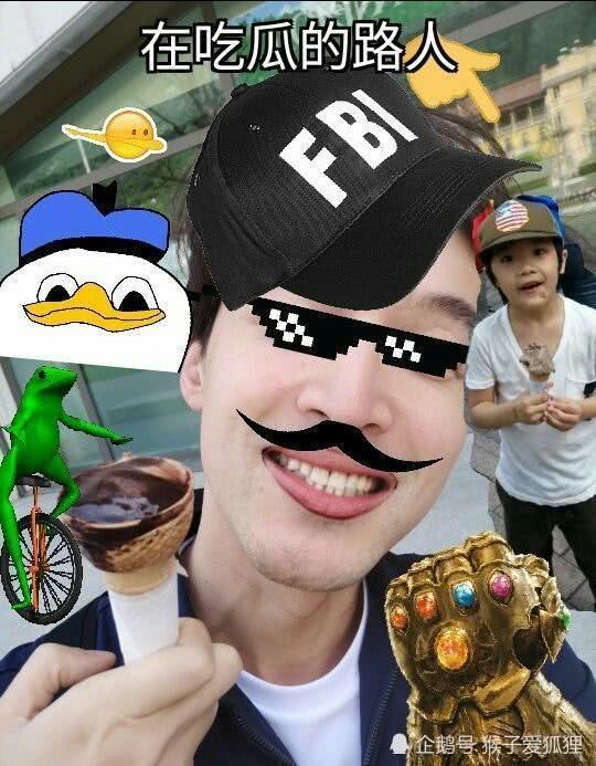 吃瓜的企鹅,趣味横生的夏日奇观