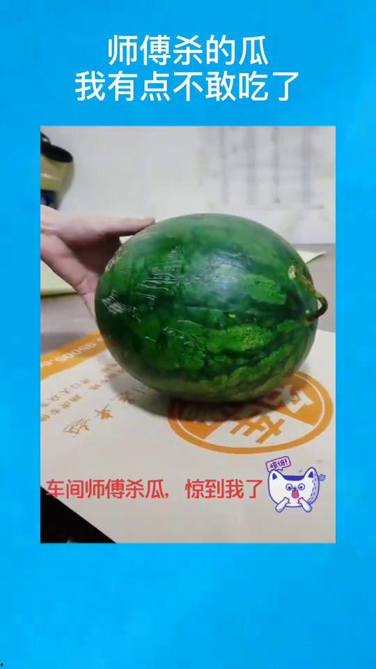 瓜 老师的,揭秘瓜界传奇，品味生活点滴