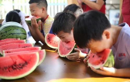 小学吃瓜大赛,小学吃瓜大赛欢乐盛况