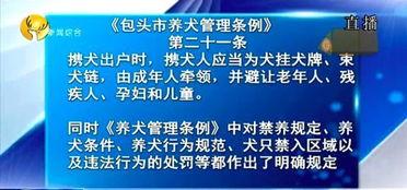 今日头条养狗政策文案,规范养犬，共建和谐社区