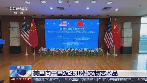 东营虎鹿新闻头条,聚焦最新动态，探寻事件背后真相