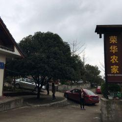 大邑大坪网红拍照地点,网红打卡圣地，探寻自然与人文交融的摄影天堂