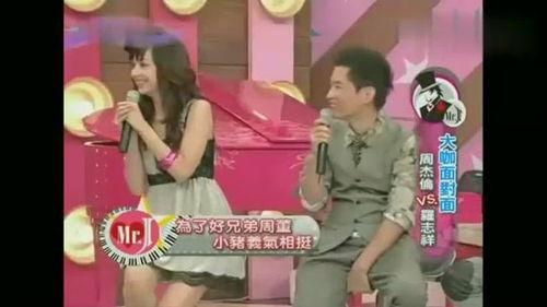 小猪节目爆料视频,揭秘娱乐圈幕后真相