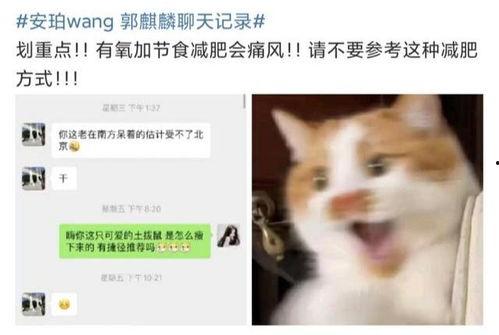 新瓜最新爆料网红是谁啊,网红界新晋风云人物是谁？