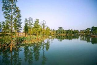 玉林茂林凤村网红湖