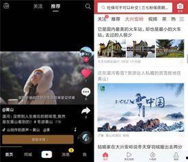 黄山今日头条小视频,小视频捕捉奇松怪石瞬间