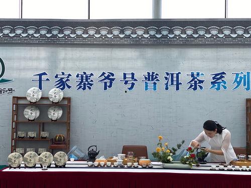 普洱新闻头条,聚焦普洱最新动态，探寻茶城发展新篇章