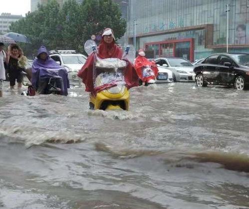 莱芜吃瓜事件人员,一场引发社会热议的街头冲突