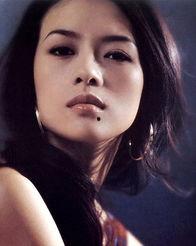 搜电影明星,探寻电影明星的璀璨人生