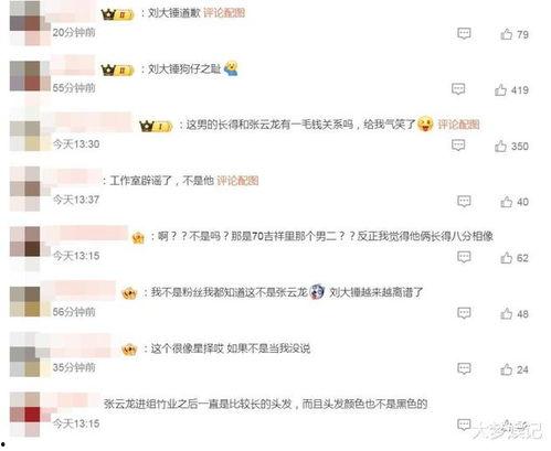 最新狗仔爆料视频播放网站,独家揭秘娱乐圈幕后风云